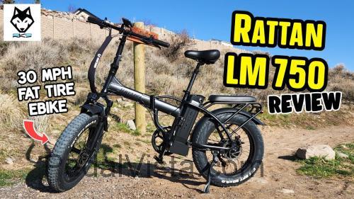 Rattan LM 750W fiche technique et avis